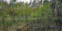 999 000 р. Кашино - Агентство недвижимости Сысертская Усадьба, Сысерть