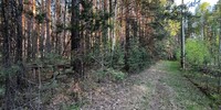 999 000 р. Кашино - Агентство недвижимости Сысертская Усадьба, Сысерть