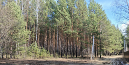 650 000 р. Кашино - Агентство недвижимости Сысертская Усадьба, Сысерть