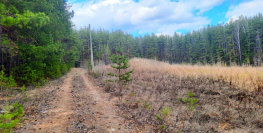 500 000 р. Щербаковка - Агентство недвижимости Сысертская Усадьба, Сысерть